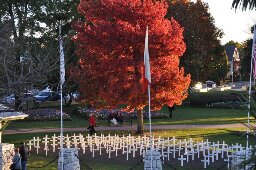White crosses with a background of Autumn trees
